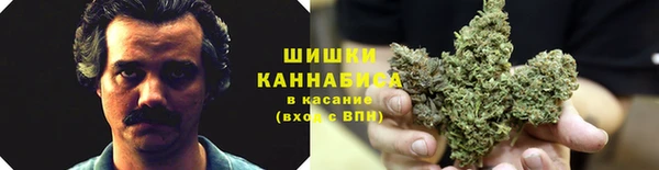 не бодяженный Алзамай